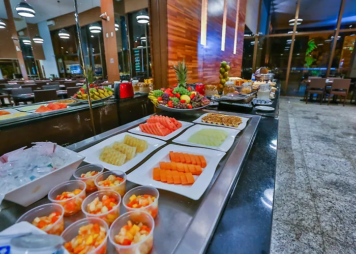 SJ Premium Hotels By Atlantica - Antigo Hilton Garden Inn Goiânia